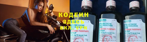 гашик Зеленокумск
