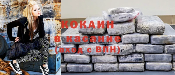 гашик Зеленокумск