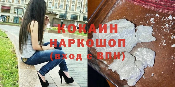 гашик Зеленокумск