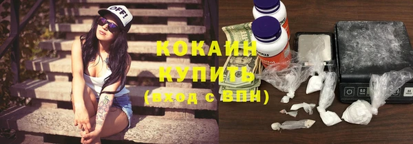 гашик Зеленокумск