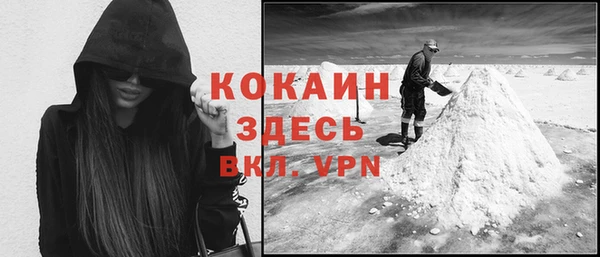 гашик Зеленокумск