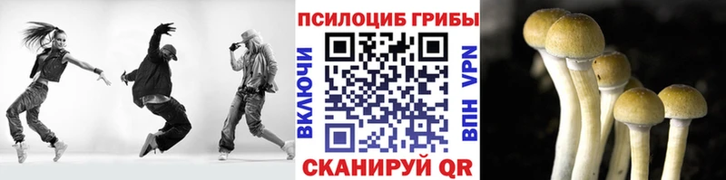 Галлюциногенные грибы Magic Shrooms  Купить где  Белый 
